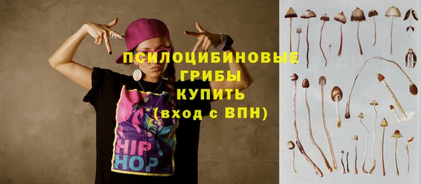 спайс Заволжье