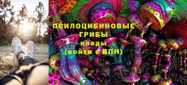 спайс Заволжье